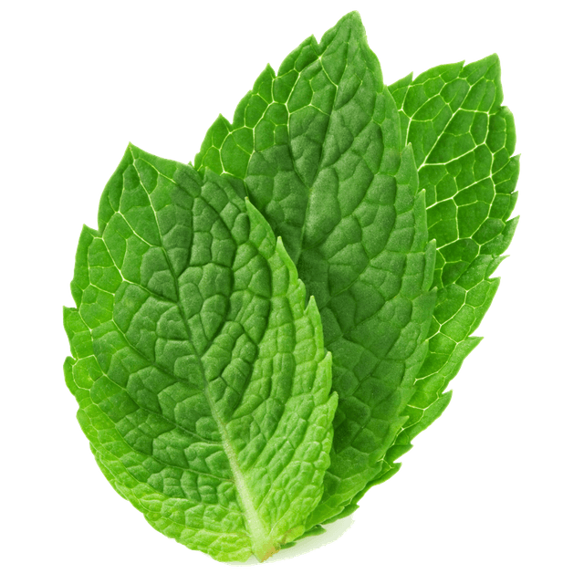 Decorative foliage